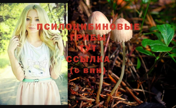 бутират Каменск-Шахтинский